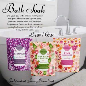 BEST LIFE SCENTSY BAR