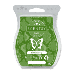 FIDDLE LEAF FIG SCENTSY WAX BAR