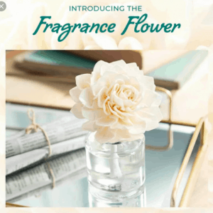 Scentsy Fragrance Reed Flower Diffuser