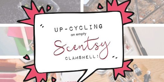 up-cycling an empty scentsy clamshell up-cycling an empty scentsy clamshell