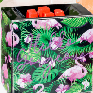 Hello, Gorgeous Scentsy Wax Warmer