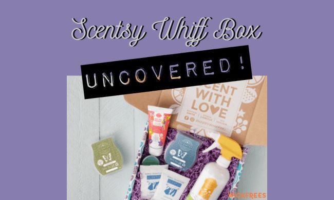 Scentsy Whiff Box Scentsy Whiff Box