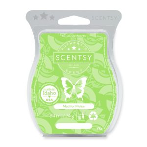 Mad for Melon Scentsy Wax Bar