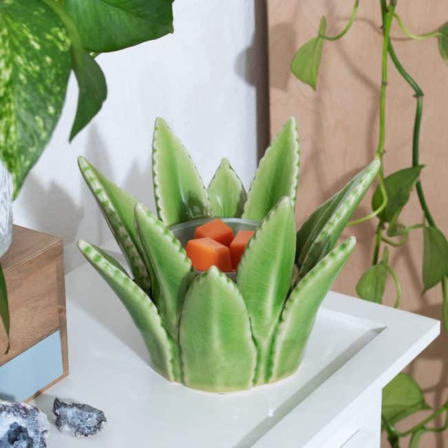 Aloe Vera Warmer – Spring/Summer 2021 Catalogue Aloe Vera Scentsy Warmer