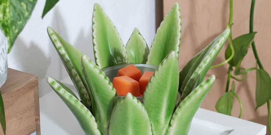 Aloe Vera Scentsy Warmer