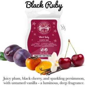 Black Ruby SCENTSY BAR