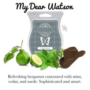 My Dear Watson Scentsy Bar