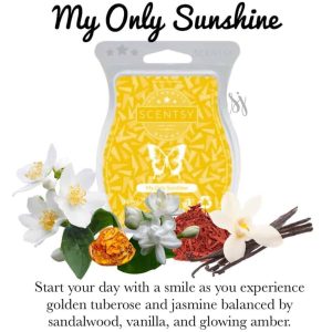 My Only Sunshine Scentsy Bar