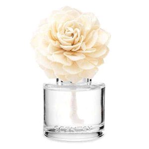 Cozy Cardigan Scentsy Fragrance Flower