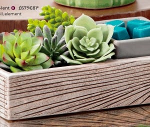 Suc-cute-lent Scentsy Warmer