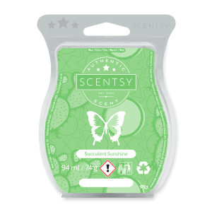 Succulent Sunshine Scentsy Wax Bar