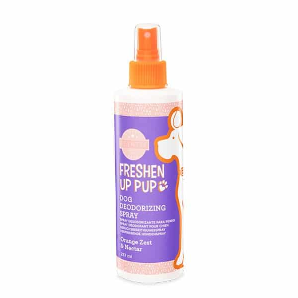 Orange Zest & Nectar Freshen Up Pup Dog 2026 Orange Zest & Nectar Freshen Up Pup Dog