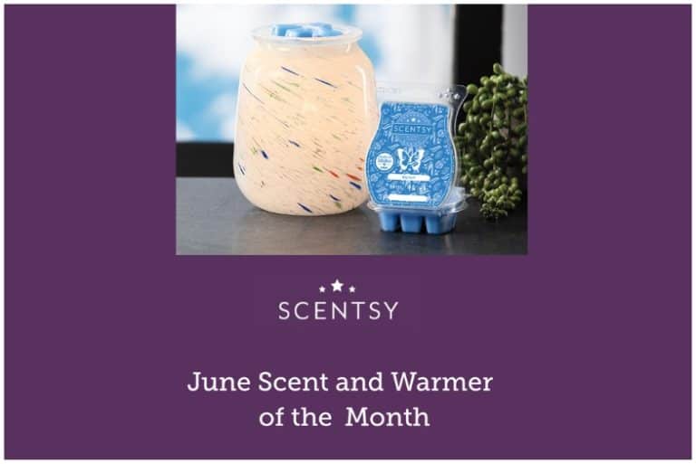 Rainbow Flurry Scentsy Warmer