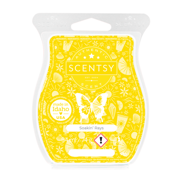 Soakin Rays Scentsy Wax Melts Bar