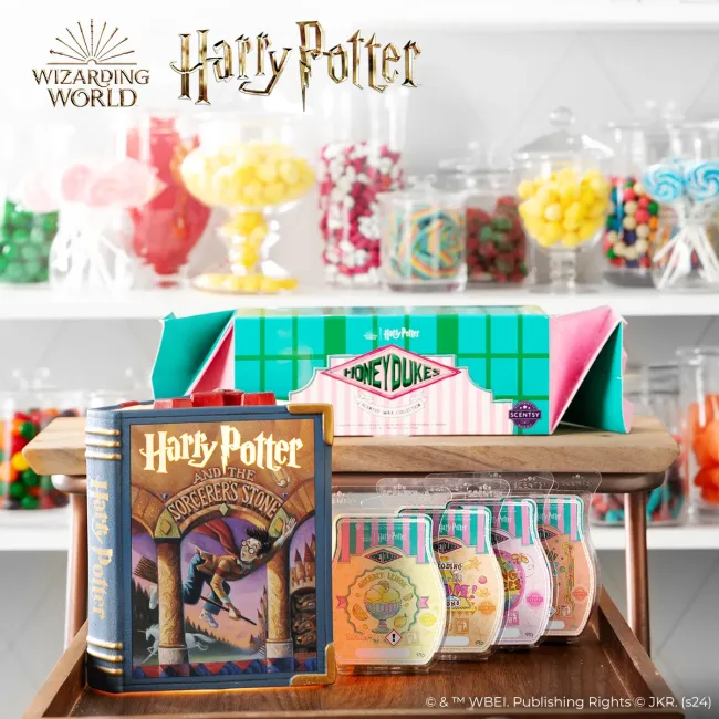 harry potter sorcerer's stone scentsy warmer - book warmer