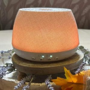 scentsy air fan diffuser