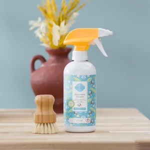 Ocean Air and Coconut Water Scentsy Bathroom Cleaner