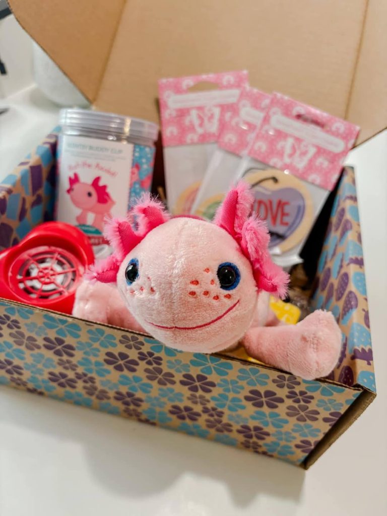 473013446 10231305087428046 5439828305857970767 n 2026