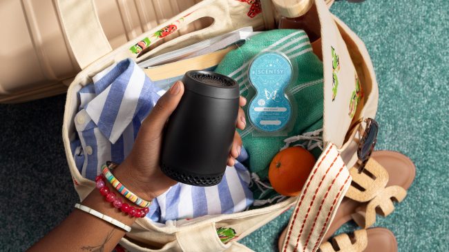 love the scentsy air go