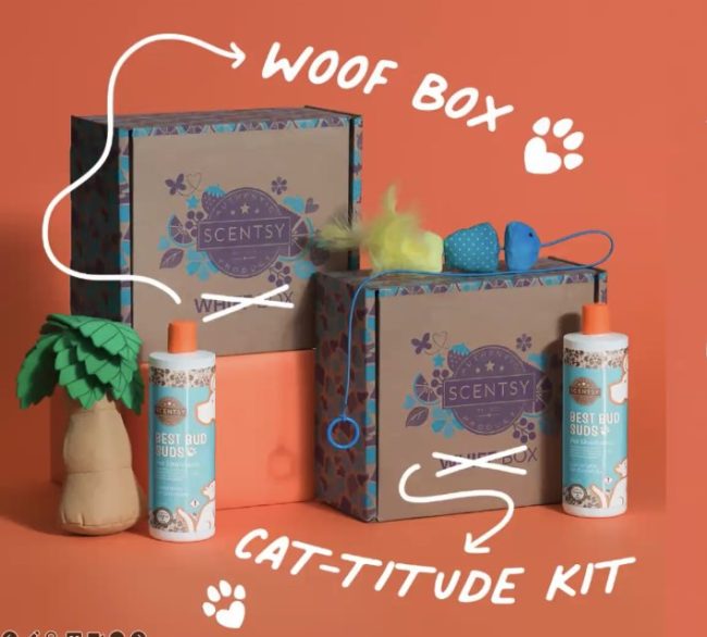Scentsy Woof box is back