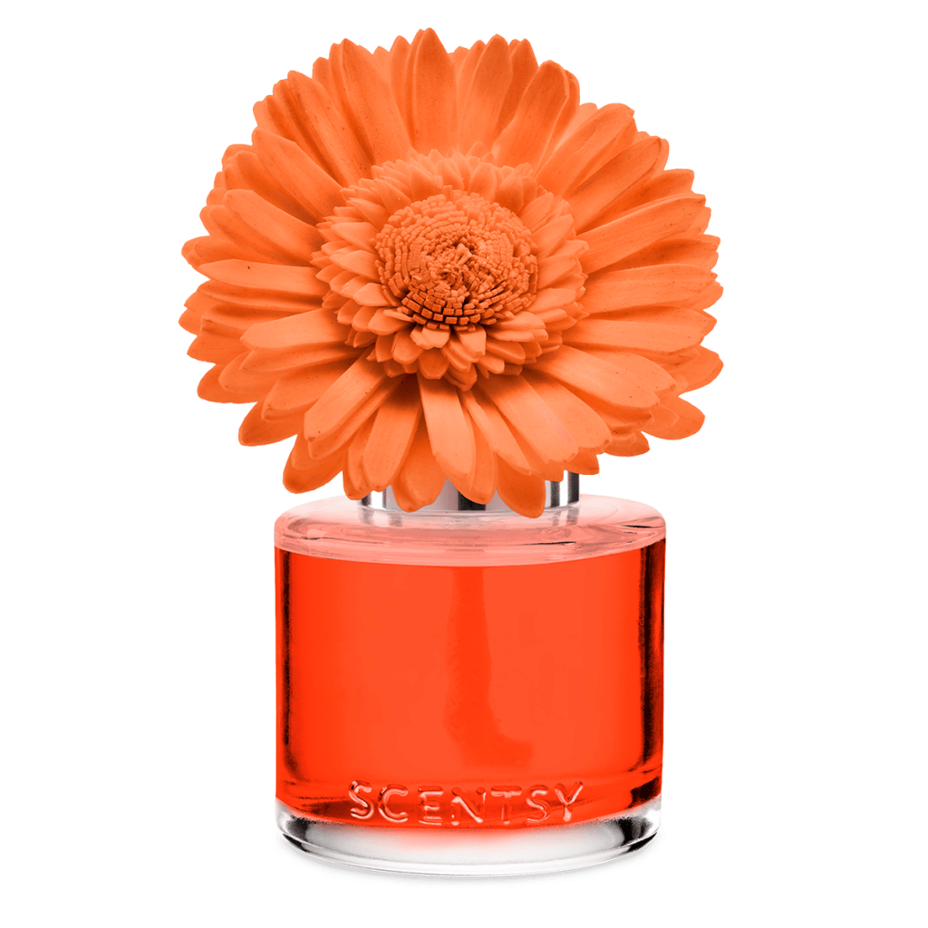 2025 Scentsy Summer Collection: Say Hello to the Mediterranean! 2026 SCENT FragranceFlower DaintyDaisy SunsetCocktail ISO Orange RA SS25 PWS 2026