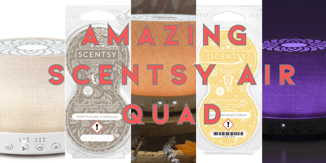 amazing scentsy air quad
