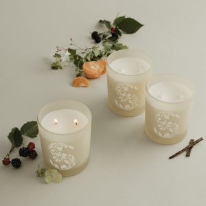 what fragrances in scentsy candles are there?
