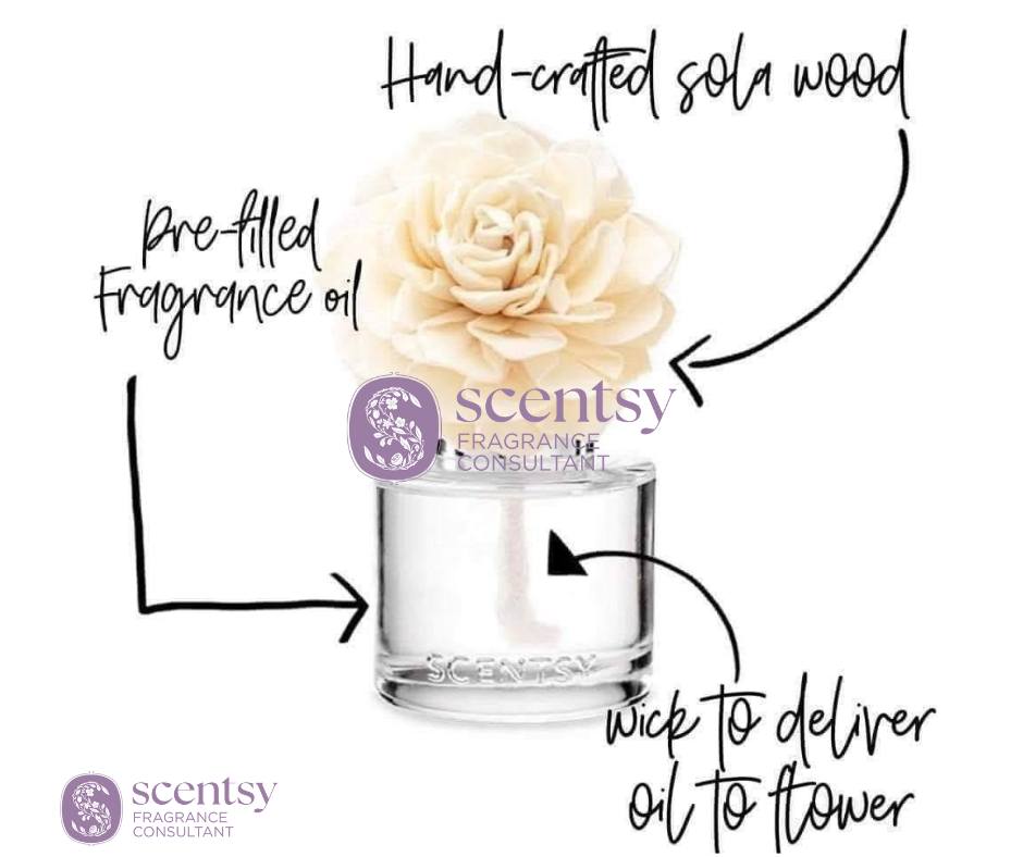 scentsy fragrance flower - best fragrance gift 
