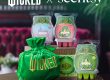 Scentsy Wicked Wax Collection