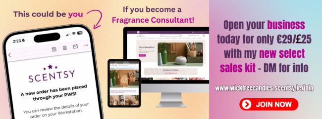 New €29 / £25 Select Scentsy Starter Kit