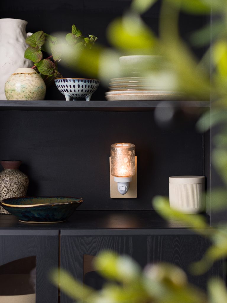 1080x1440 InspireLTO SilverStemMiniWarmer R123MX 02 1 2026