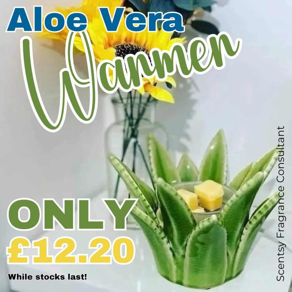 🎉 Save Up to 80% in the Scentsy Black Friday Sale! 2026 9268a824 5583 4b42 a909 ea6b6a046ee5 2026