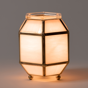 clara scentsy warmer