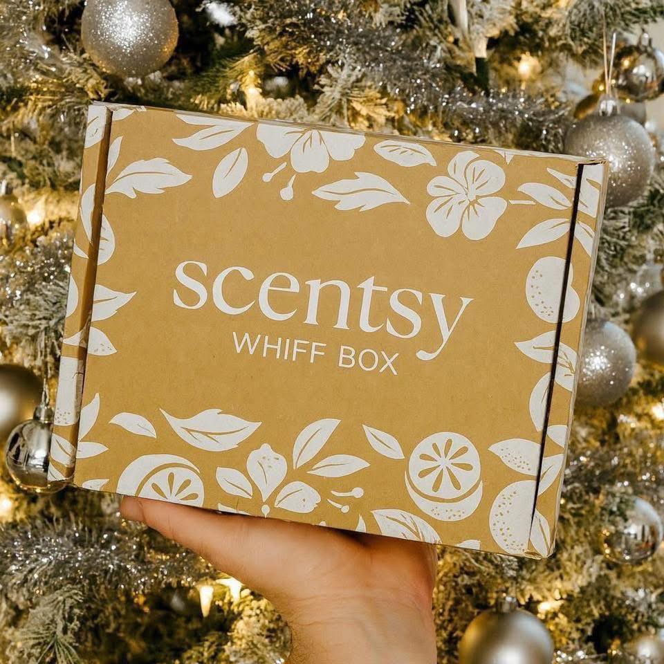 594586391 1677217096636342 2203867520955577870 n 2026