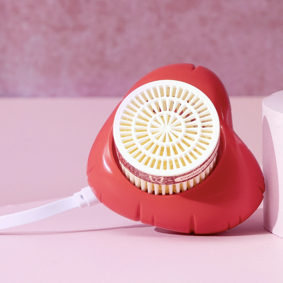 Scentsy 2026 Valentine Collection – Fall in Love with Fragrance & Décor 2026 Screenshot 2026 01 04 at 15.05.31 2026