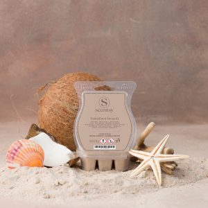 Barefoot Beach Scentsy Wax Melts 