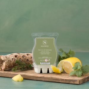 Breeze & Balsam Scentsy Wax Melts - Fragrance notes: lemon, mint, balsam Smells like: salt air over balsam trees / fresh lemon zest / wild mint leaves