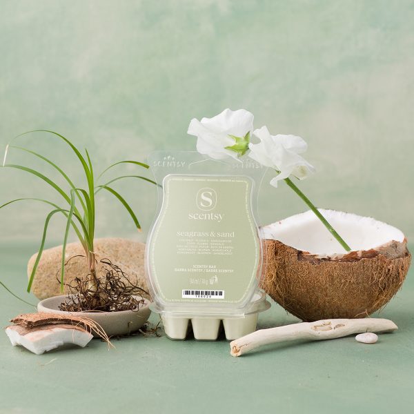 Wax Melts vs Reed Diffusers UK: Which Is Better for Home Fragrance? 2026 Wax melts vs reed diffusers UK - Seagrass and Sand Scentsy fragrance bar comparison home fragrance wax melts versus reed diffusers which is better