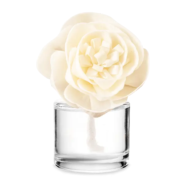 Scentsy Pink Pineapple Sugar Buttercup Belle Fragrance Flower summer fragrance UK clearance 2026 was 22 pounds could be 4 pounds 40 at 80 percent off Weekend Deal Drop