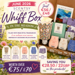 June 2026 Scentsy Whiff Box – In the Meadow Theme Revealed 2026 sqaure whiff box 2026