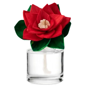 Candy Cane Buttercream Radiant Red Poinsettia Scentsy Fragrance Flower