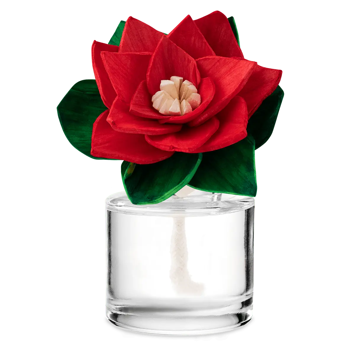 Candy Cane Buttercream Radiant Red Poinsettia Scentsy Fragrance Flower 2026 Candy Cane Buttercream Radiant Red Poinsettia Scentsy Fragrance Flower