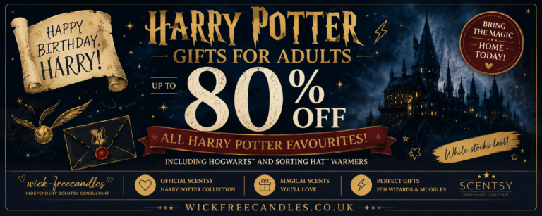 Harry Potter gifts for adults