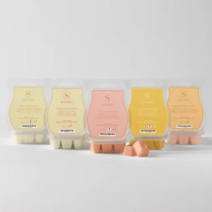 Italian Summer Scentsy Wax Melts 5-Pack