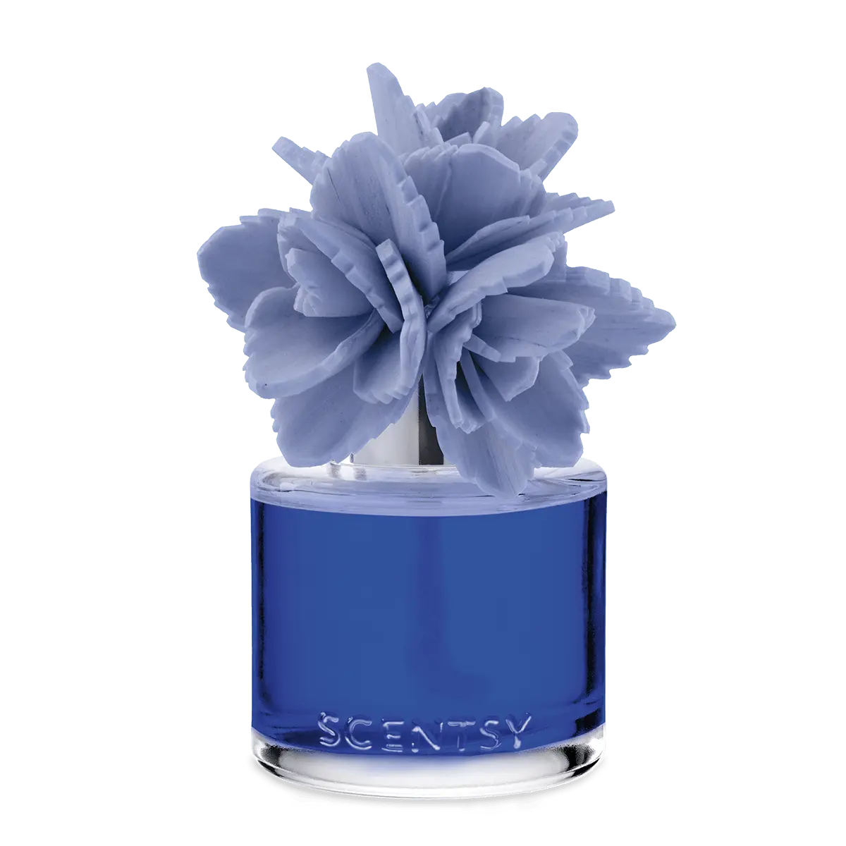 Saguaro Desert Rain Scentsy Fragrance Flower 2026 Saguaro Desert Rain Scentsy Fragrance Flower