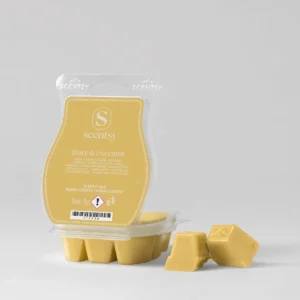 Scentsy Bring Back My Bar Winners 2026 - First Round Available 1 July 2026 Tiare and Coconut Scentsy Wax Melts