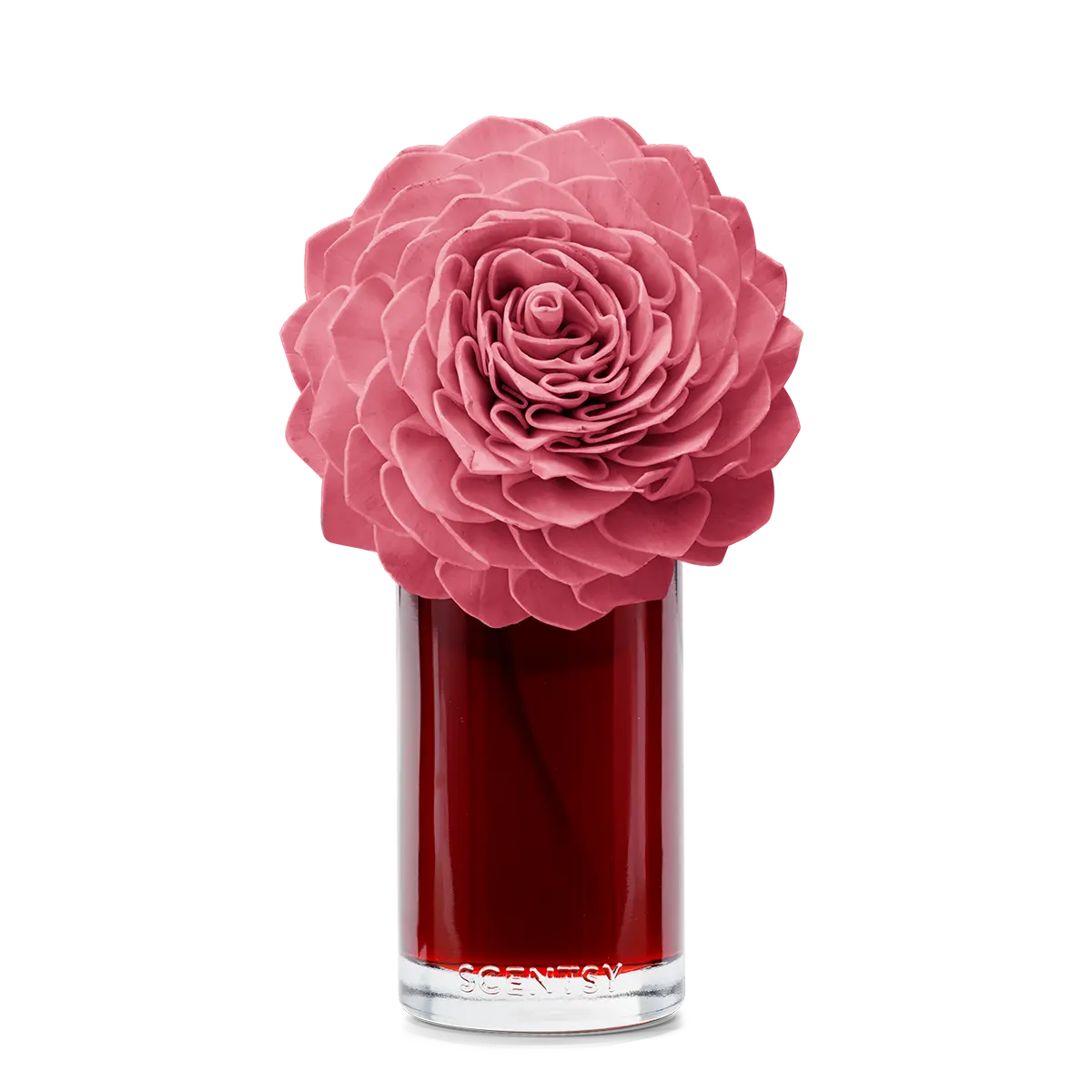 Vanilla Rose Scentsy Fragrance Flower 2026 Vanilla Rose Scentsy Fragrance Flower