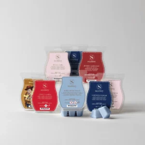 August Bring Back My Bar Scentsy Wax Melts Bundle