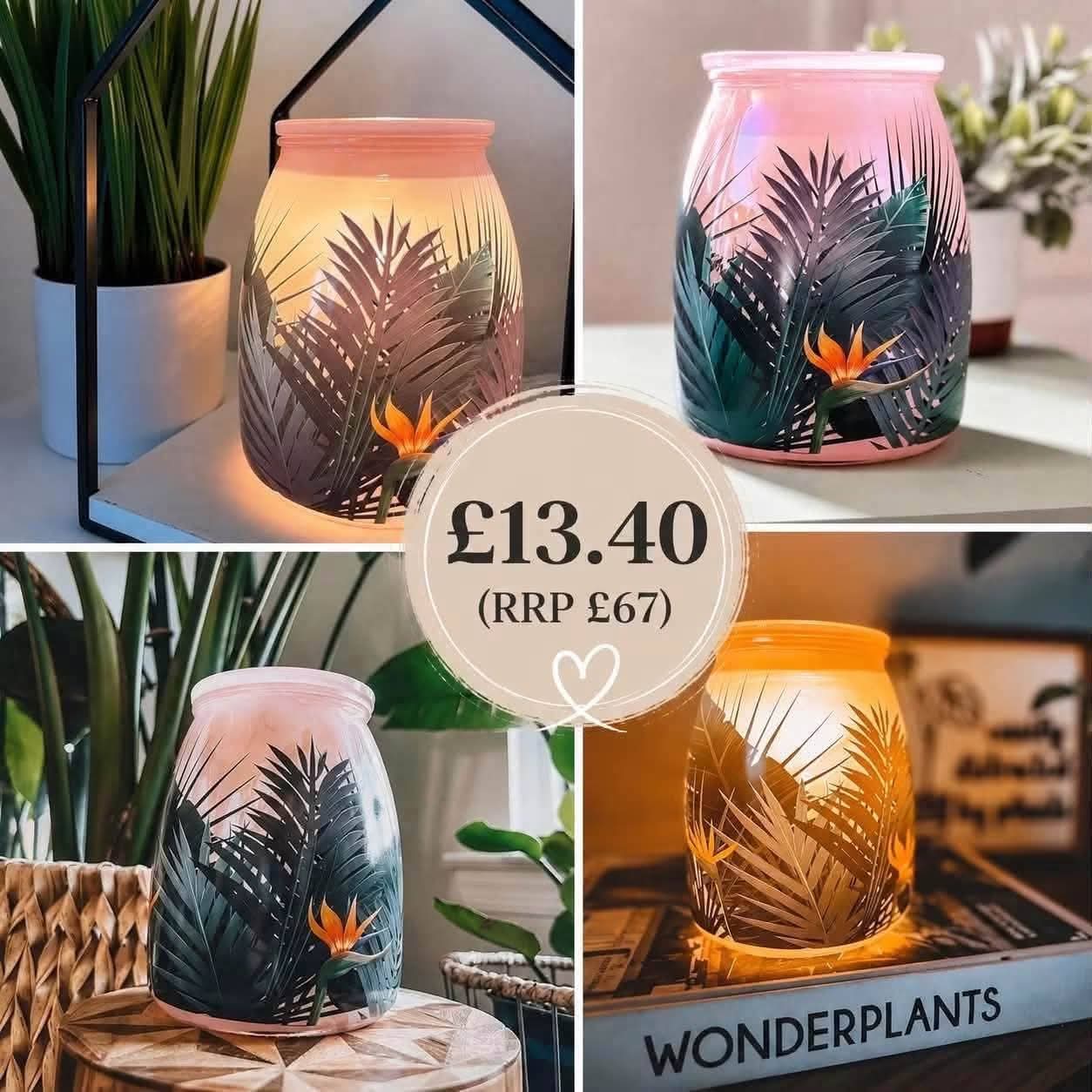 8 Cheapest Scentsy Warmers on Sale UK: Real Bargains From £8.40 2026 Birds of Paradise Scentsy Warmer sale UK 2026 tropical glass wax warmer reduced from 67 to 13.40