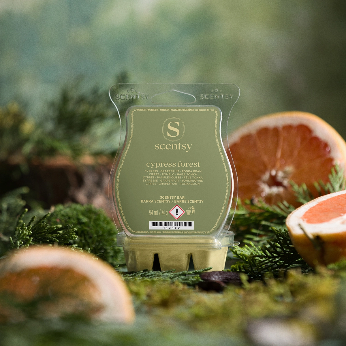 Cypress Forest Scentsy Wax Melts 2026 Cypress Forest Scentsy Wax Melts